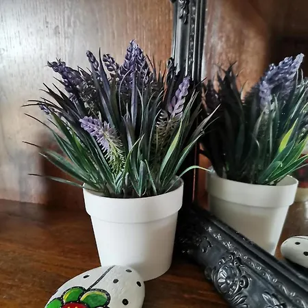 Hamboula Апартаменты