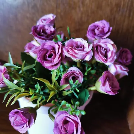 Hamboula Апартаменты Полис