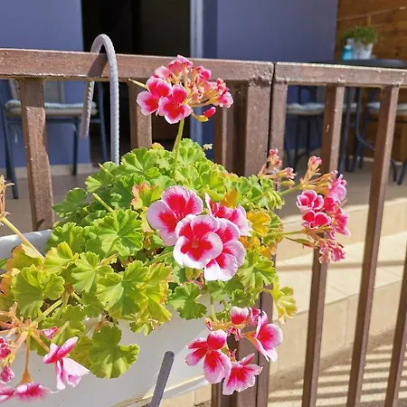 Hamboula Apartment
