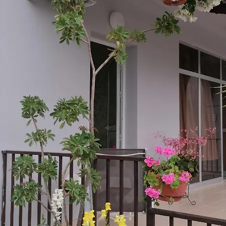 Apartment Hamboula *