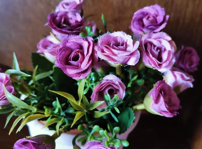 Hamboula Apartmán Polis